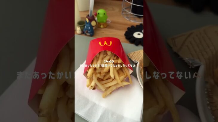 【VLOG】休日にあつ森とマックで癒される社会人vlog #社会人vlog #食事記録 #food #あつ森 #マック #生活