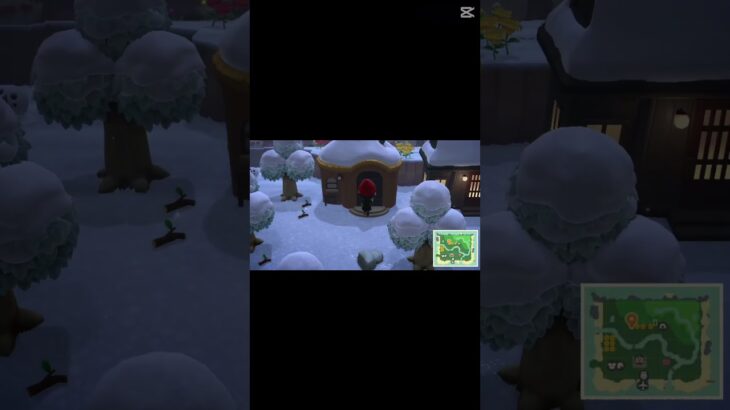 あつまれどうぶつの森　はちさんVSおれ　#あつ森