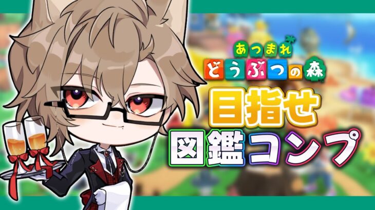 【あつ森】頑張れ犬養、コンプまでまだまだだ【 犬養/ 個人勢VTuber 】