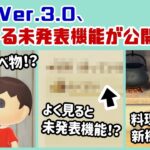 【あつ森】Ver.3.0アプデ、「さらなる未発表機能」が判明…！！？Switch 2 EditionとVer.3.0のPVに隠れた細かすぎる小ネタ集！【あつまれ どうぶつの森】@レウンGameTV