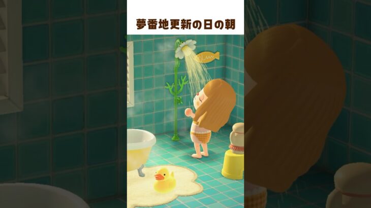 ちょっぴり丁寧に準備 🐻 あつ森Vlog #shorts #あつ森