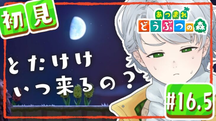 【 あつ森 】緊急⚠️あのとたけけがわたが島へ来日‼️癒しボイスの初見プレイ【 個人Vtuber/綿菓しろろ 】＃１６.５