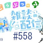 【 #あつ森 】おはようの島ルーティン🌿 石たたき＆ボトル拾い #Vtuber #雑談配信