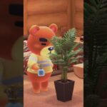 【あつ森】Welcome to Taiheita🐻🏠