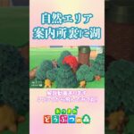 自作マイデザで作る自然エリア　 #あつ森 #acnh  #あつまれどうぶつの森