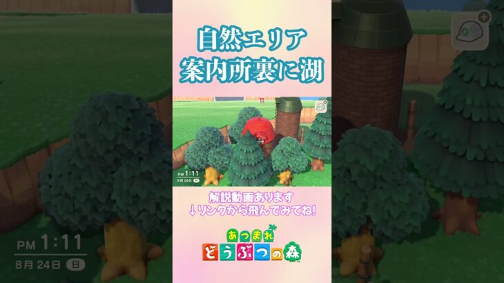 自作マイデザで作る自然エリア　 #あつ森 #acnh  #あつまれどうぶつの森