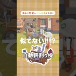 ガストンがベルのお家をレイアウト🌹💛【あつ森】#あつ森 #島クリ #ディズニープリンセス #美女と野獣 #acnh