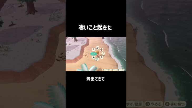 それは笑った🐝#あつ森 #あつまれどうぶつの森 #ハチ #acnh #animalcrossing