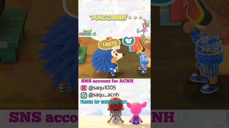 【ついにこの時が…】#あつ森 #acnh #どうぶつの森 #animalcrossing #あつ森ショート #short