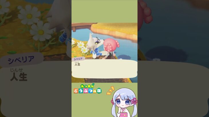 【あつ森】大人の名言　今日もシベリアから　　　　　　　　　　　　　　　　　　　　　　　　　　　　　　　　　　　　　　　　　#あつ森 #あつまれどうぶつの森 #acnh #shorts #つくよみちゃん