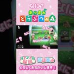 【あつ森】三角関係？！　#animalcrossing　#ゲーム実況