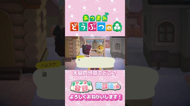 【あつ森】ハムちゃん #animalcrossing #ゲーム実況