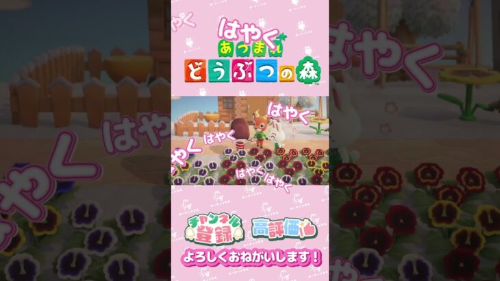 【あつ森】はやくしてぇぇ～　 #animalcrossing #ゲーム実況