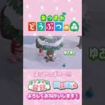 【あつ森】どや顔ｗ　 #animalcrossing #ゲーム実況
