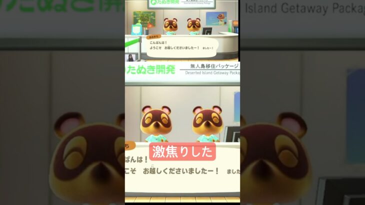 データ吹っ飛んだかと思った😭 #あつ森 #animalcrossing #あつまれどうぶつの森 #ゲーム実況