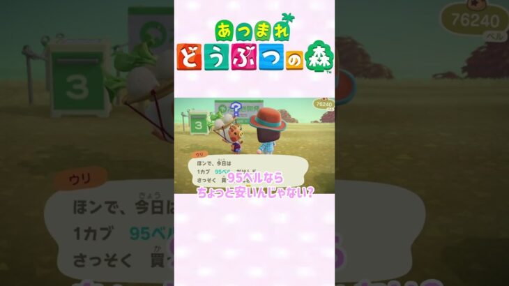 【あつ森】カブの購入！！！　#ゲーム実況 #animalcrossing