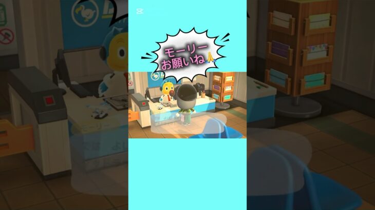 【#あつ森 #animalcrossing 】離島ガチャ🏝️ラスト10人目