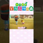 【あつ森】ハムちゃんのセンスはいかに？！　#ゲーム実況 #animalcrossing