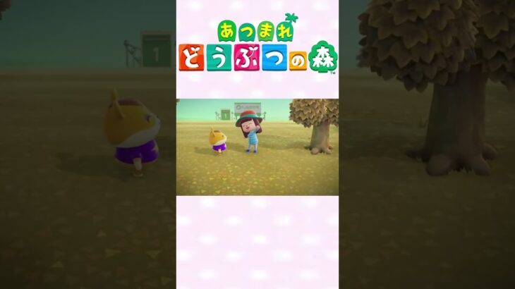 【あつ森】可愛いしか入ってきてない笑　#ゲーム実況 #animalcrossing