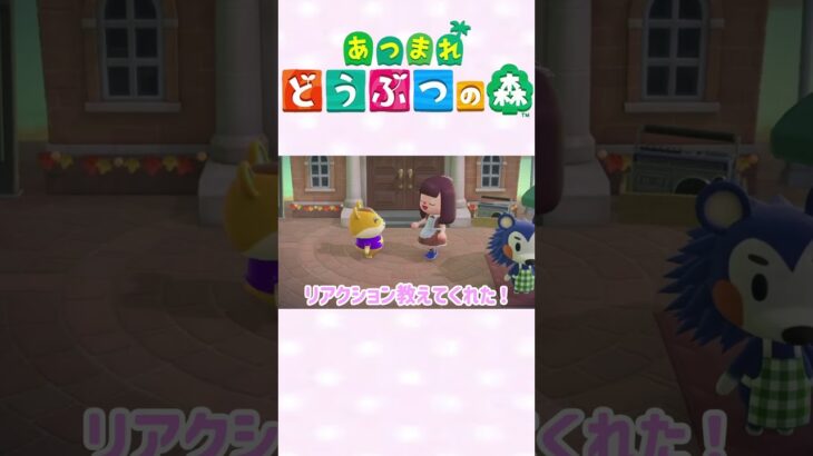 【あつ森】ハムスケ癒し💝　#ゲーム実況 #animalcrossing