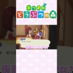 【あつ森】レシピ被りあるある　#ゲーム実況 #animalcrossing