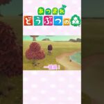 【あつ森】なにすればいい？？　#ゲーム実況 #animalcrossing