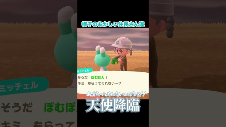 【あつ森】今日は天使に出会いました #あつまれどうぶつの森 #あつ森 #animalcrossing