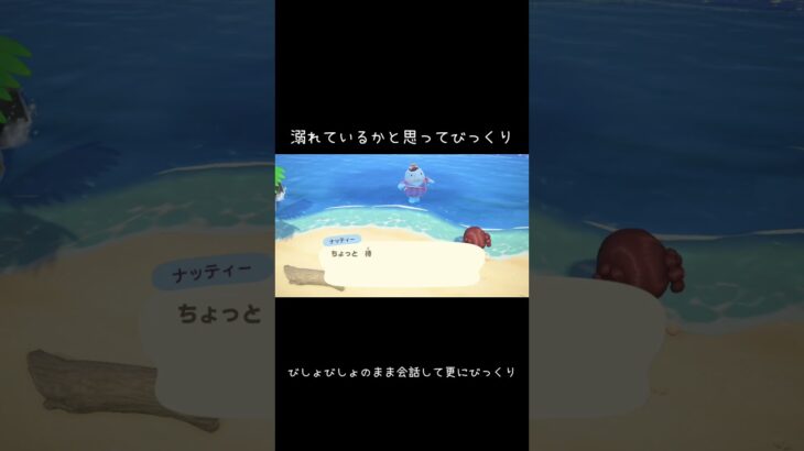 ナッティ、思ってたよりぶっ飛びキャラだった#あつ森 #どう森#どうぶつの森  #ちゃちゃまる #島生活 #カップル実況 #ゲーム実況#animalcrossing