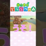 【あつ森】網使いになりたい！　#ゲーム実況 #animalcrossing
