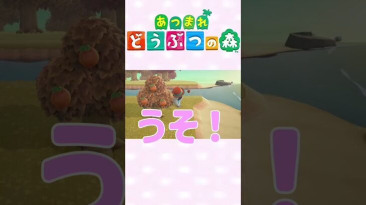 【あつ森】網使いになりたい！　#ゲーム実況 #animalcrossing