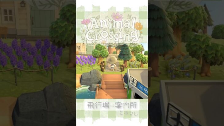 飛行場から案内所からホマレ #あつ森 #animalcrossing