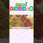 【あつ森】急に襲われる時の対処法募集　#ゲーム実況 #animalcrossing