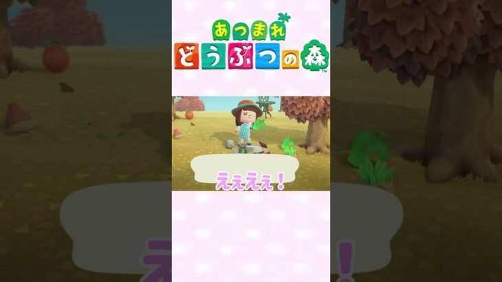 【あつ森】すぐ忘れがちｗ　#ゲーム実況 #animalcrossing