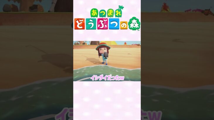 【あつ森】博物館建設開始！！！　#ゲーム実況 #animalcrossing
