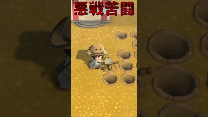 オケラ捕獲は？ #あつ森 #あつまれどうぶつの森 #animalcrossing