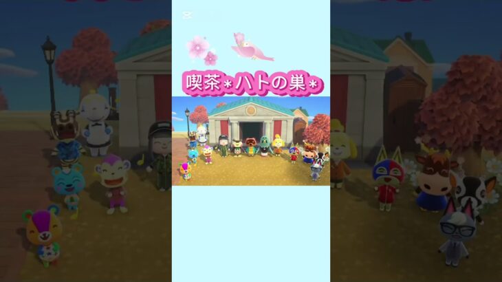 【#あつ森 #animalcrossing 】ハトの巣Open🏝️