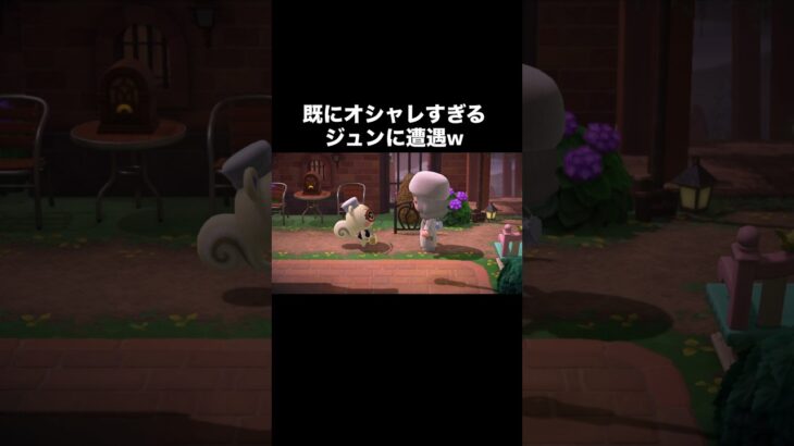ファッションモンスタージュン‼️ #あつ森 #あつまれどうぶつの森 #あつ森好きな人と繋がりたい #animalcrossing #ゆめみ #おかめなっ島 #acnh #comedy #fashion