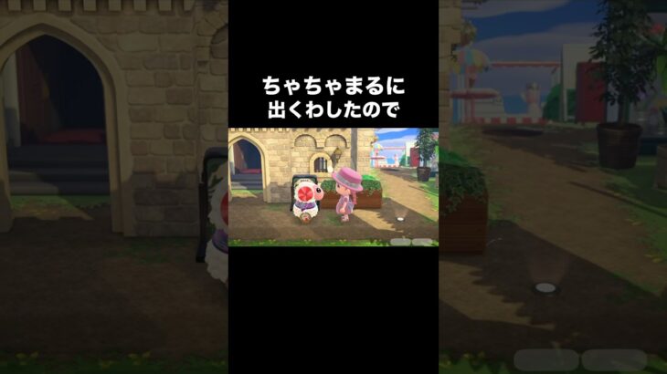 ファッショニスタちゃちゃまる🐑 #あつ森 #あつまれどうぶつの森 #あつ森好きな人と繋がりたい #animalcrossing #ゆめみ #おかめなっ島 #acnh #comedy #fashion