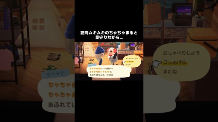 平和がいちばん♥️ #あつ森 #あつまれどうぶつの森 #あつ森好きな人と繋がりたい #animalcrossing #ゆめみ #おかめなっ島 #acnh #comedy #shorts #平和