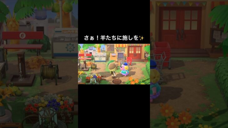 愛はひつじを救う✨️ #あつ森 #あつまれどうぶつの森 #あつ森好きな人と繋がりたい #animalcrossing #おかめなっ島 #acnh #comedy #shorts #羊 #gift