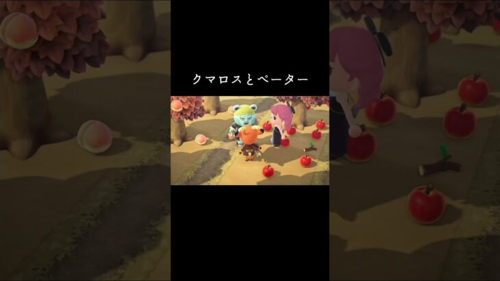 #クマロス#ペーター#あつ森#あつまれどうぶつの森 ##animalcrossing #animalcrossingnewhorizons #動物森友會 #動森