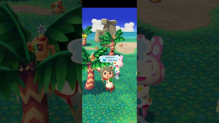 師走のルーティン♡ #ゲーム #ポケ森 #あつ森 #animalcrossing #animalcrossingnewhorizons