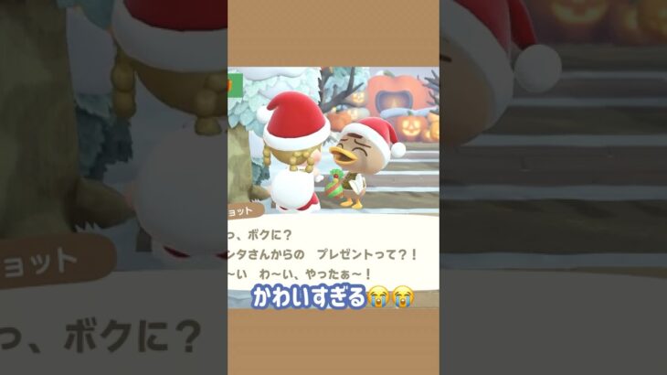 クリスマスの住民たちが可愛すぎる🎄🎅#あつ森 #あつまれどうぶつの森 #animalcrossing #クリスマス #christmas