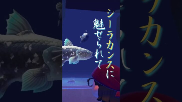 シーラカンスに魅せられて #あつ森 #あつまれどうぶつの森 #ゲーム #animalcrossing #どうぶつの森 #ショート #shorts