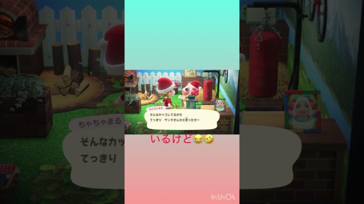 メリークリスマス🎄🎵 #あつ森 #あつまれどうぶつの森 #animalcrossing #shorts #gaming #ジングル #クリスマス #ジュン #ちゃちゃまる #アポロ