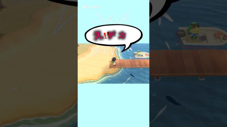 【#あつ森 #animalcrossing 】本垢🏝️初期からstart🌲再チャレンジ🎣