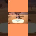 【#あつ森 #animalcrossing 】本垢🏝️初期からstart🌲難易度UP？？