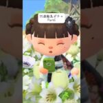 #あつ森#離島ガチャ#あつ森女子 #住民厳選#animalcrossingnewhorizons #伸びろ