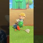 鳥の手柄横鳥🐥#あつ森 #どうぶつの森 #capcut#shorts
