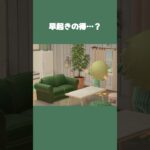 【あつ森】休みの日の早起き…せっかく早く起きたのに意味なさ過ぎた…  #daily  #日常  #あつ森  #あつまれどうぶつの森 #shorts